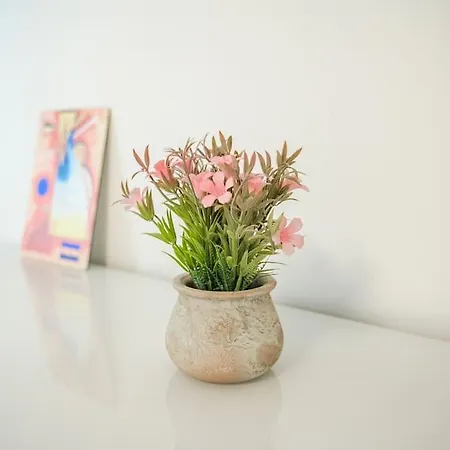 Your Happy Place In The Centre Modena